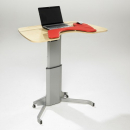 Salli Compact