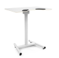 Preview: Salli Work-Desk mechanisch höhenverstellbarer Schreibtisch
